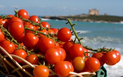 Pachino, terra del pomodoro e porta di Marzamemi