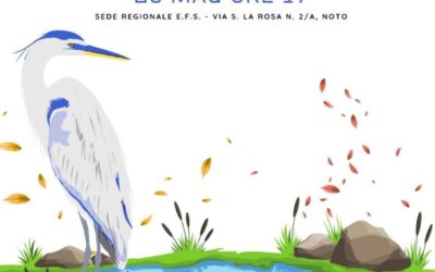 Custodia Ambientale. Un futuro per i Gelsari e Lentini