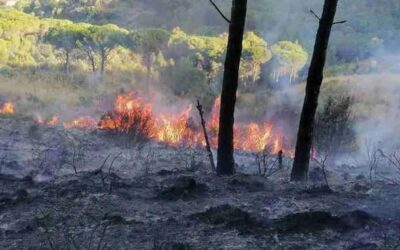 Prevenzione incendi a Canicattini Bagni. Dal 15 Maggio divieti rigorosi, sanzioni e i numeri utili da chiamare