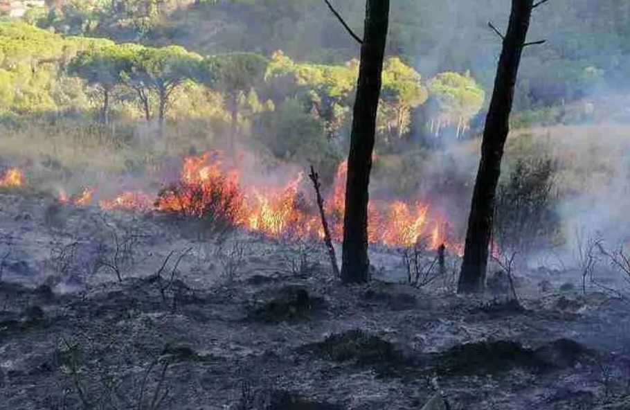Incendi