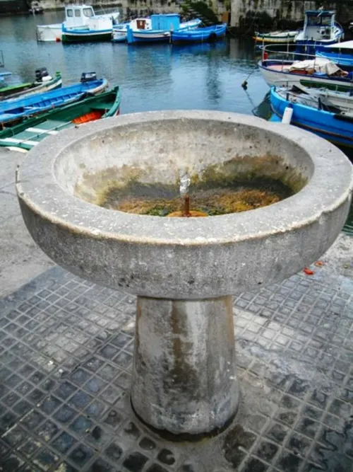 fontanella_riva_forte_gallo.JPG