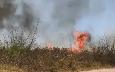 Priolo Gargallo – Antincendio 2026. Pulizia dei terreni entro il 14 Maggio o scattano le Multe