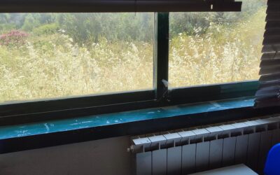 Verde incolto all’Archimede. Cavallaro sollecita interventi