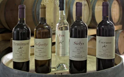 Vini & Vigne Valdinoto 2026. Un brindisi al sud-est Sicilia