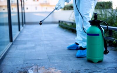 A Canicattini Bagni gli interventi di disinfestazione, derattizzazione e deblattizzazione di giugno
