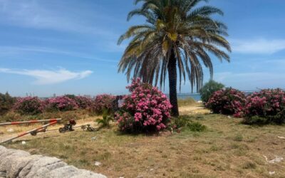 Marina di Priolo verso l’estate. Lavori sul litorale e controlli sui parcheggi per disabili