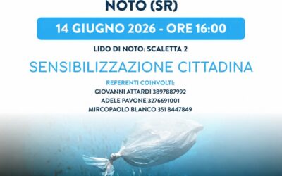 Plastic Free a Noto | Successo per la prima giornata dedicata all’ambiente