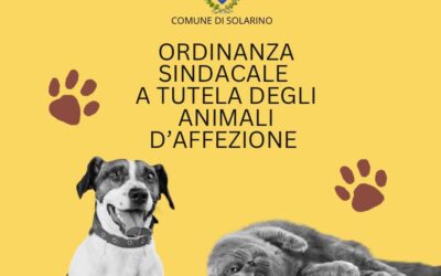 Estate sicura per gli amici a quattro zampe | Al via l’ordinanza a tutela degli animali a Solarino