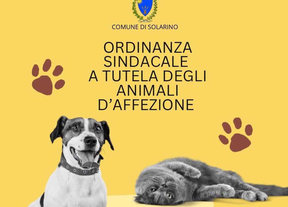 Estate sicura per gli amici a quattro zampe | Al via l’ordinanza a tutela degli animali a Solarino
