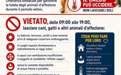 “Proteggi i tuoi amici a quattro zampe” | Al via l’Ordinanza a Priolo Gargallo