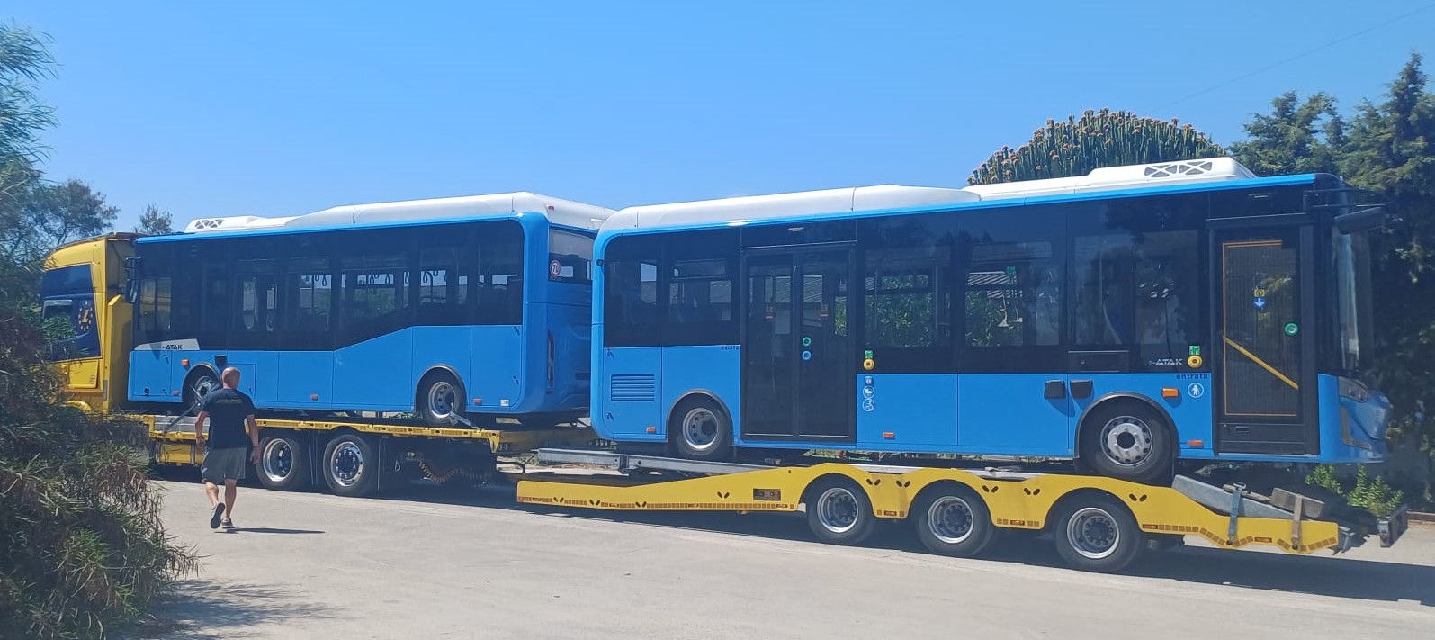 Nuovi bus