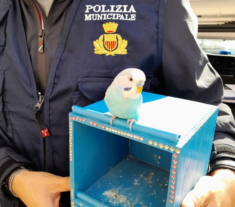Ortigia | Pappagalli usati per foto con i turisti: tre persone fermate dalla Municipale