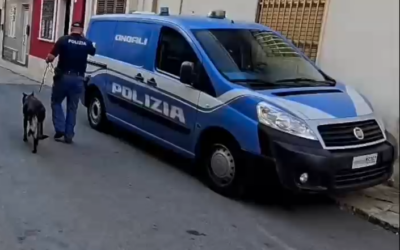 Operazione interforze tra Pachino e Portopalo | Duro colpo allo spaccio, due arresti