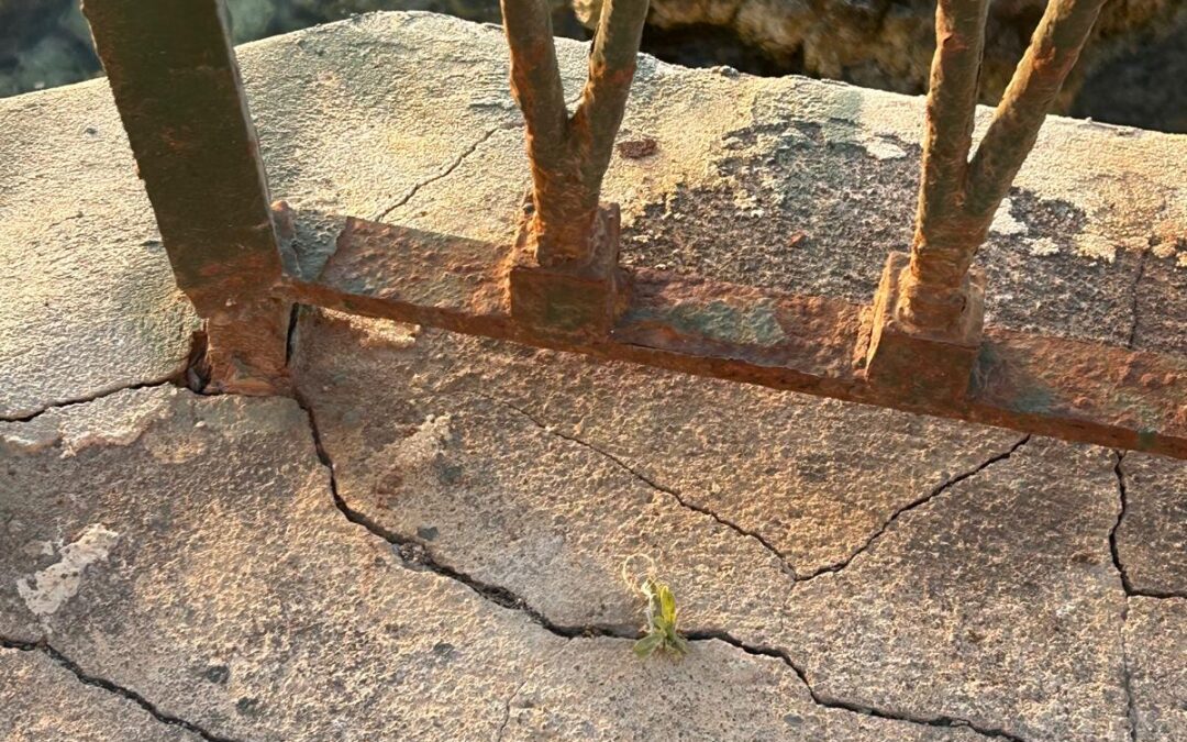 Segnalazione alla redazione sullo stato delle ringhiere del Lungomare di Levante a Ortigia