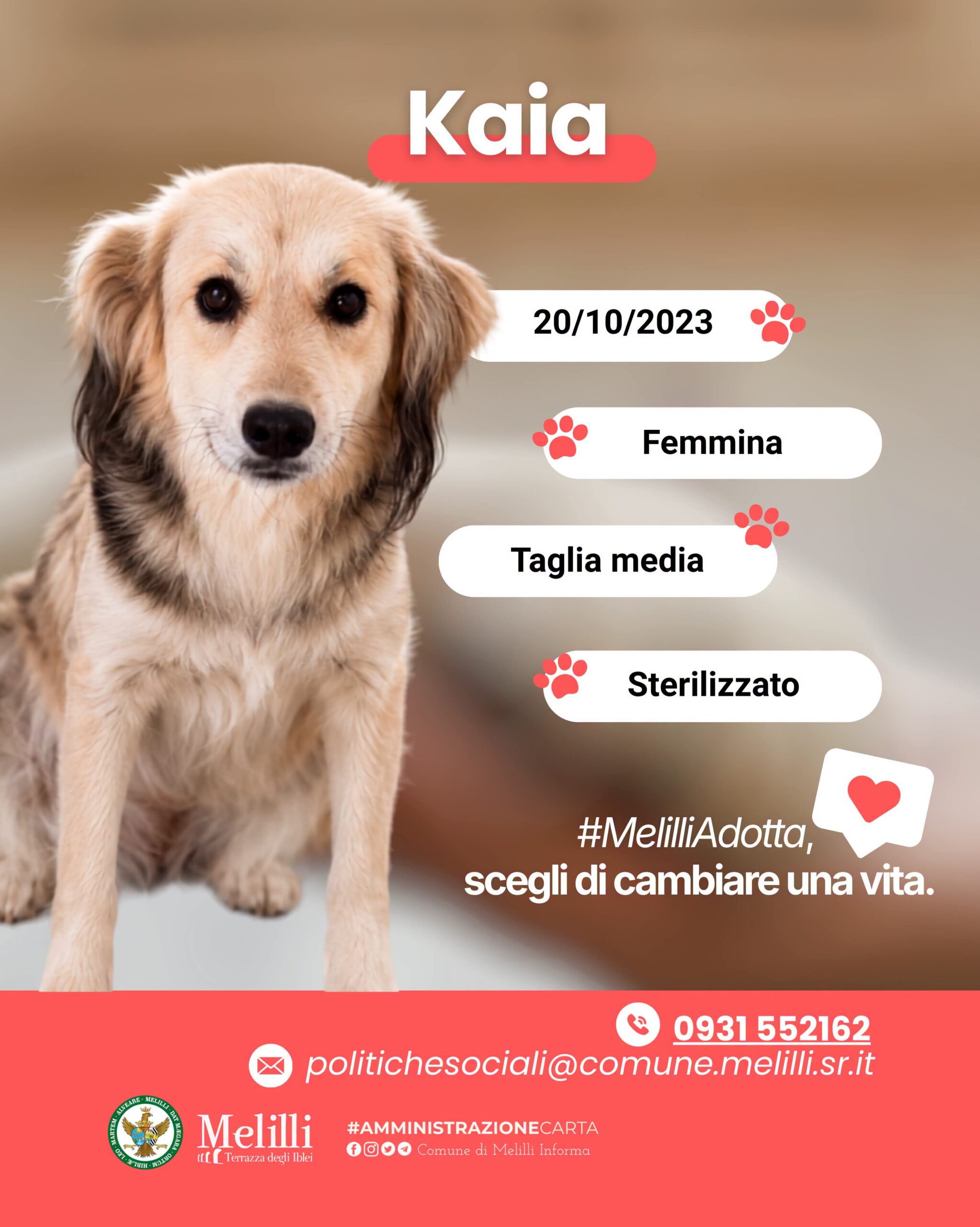 FB_IMG_1785172152009