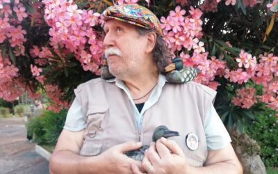 Canicattini Bagni, tre mostre di Sergio Carpinteri alla Villa comunale: al via “Il lasciapassare ideologico”