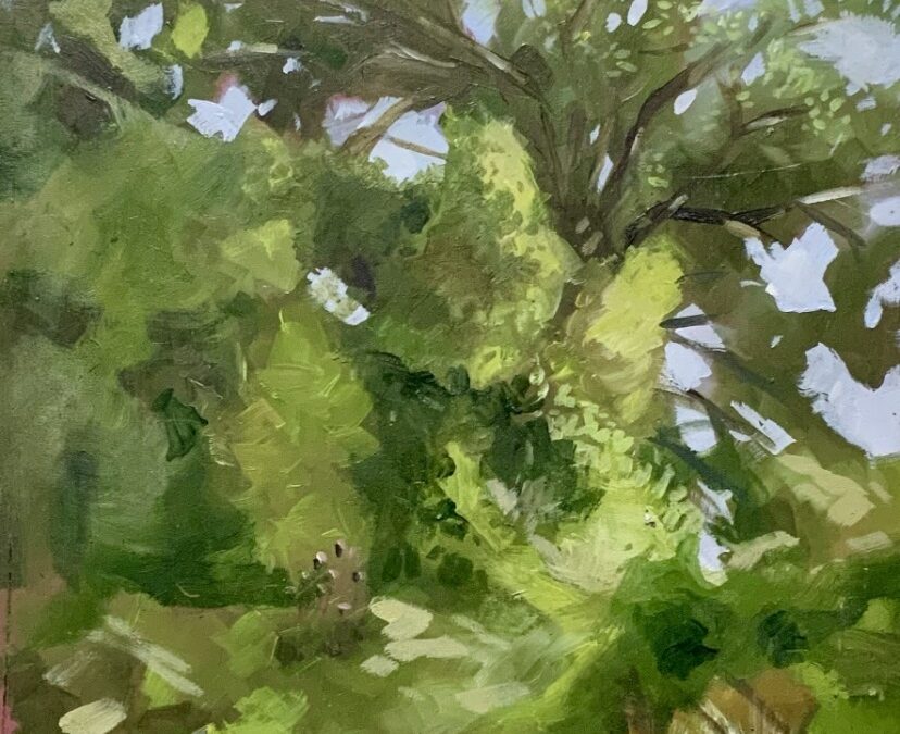 “TERRA” | A Marzamemi in arrivo la mostra d’arte di Chiara Fronterrè e Salvo Muscarà
