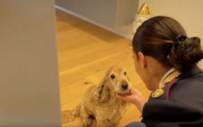 La Polizia di Stato dice “No” all’abbandono degli animali | Online il nuovo spot