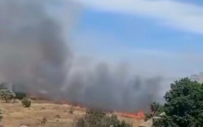Incendio di sterpaglie a Siracusa | Fiamme vicino alle abitazioni e a un distributore