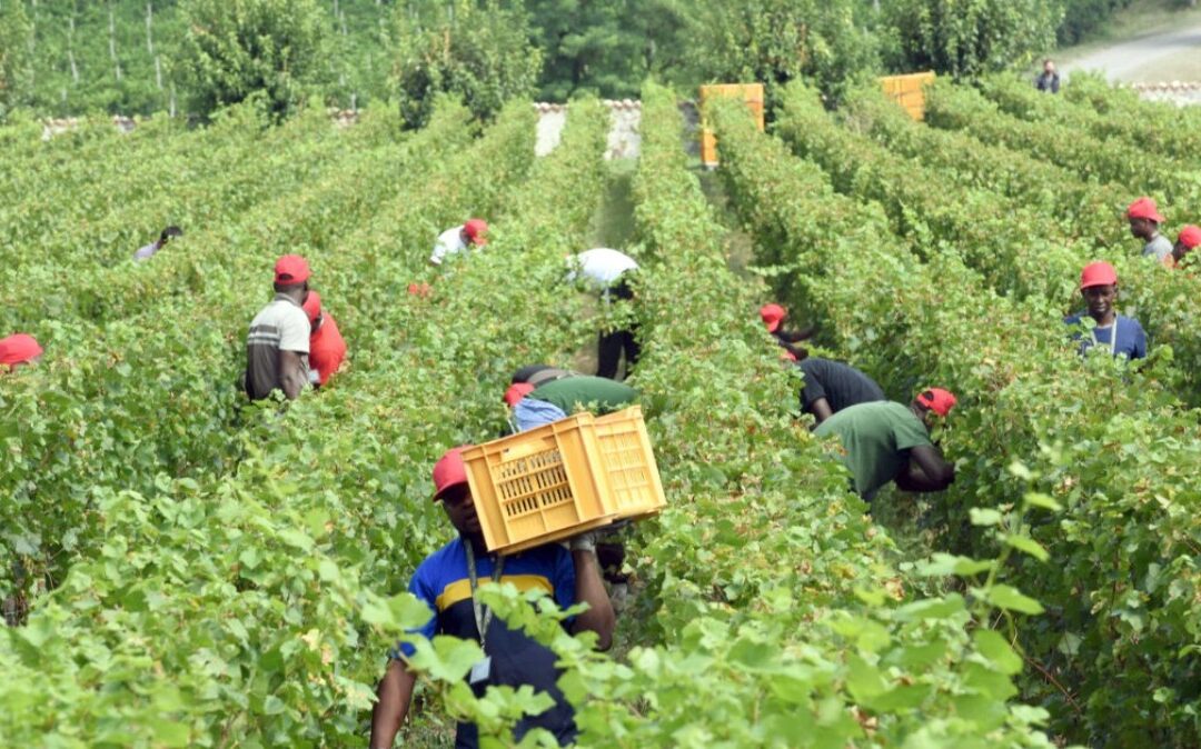 Malore fatale in serra | Perde la vita un bracciante agricolo a Pachino