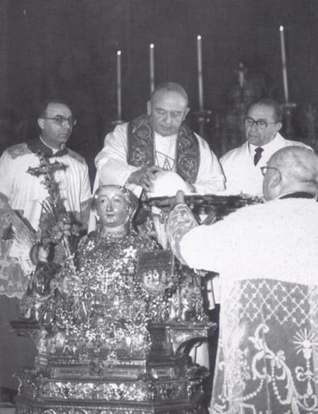 calotta-1