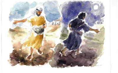 Vangelo della Domenica | La pazienza di Dio vince sul male. Il grano e la zizzania crescono insieme