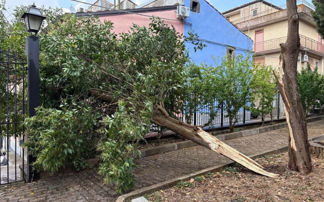 Buccheri – Temporale estivo | Vento forte e qualche danno, ma nessuna criticità