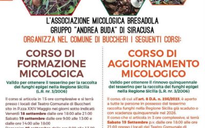 Corsi di micologia a Buccheri | Formazione e Aggiornamento per il tesserino per la raccolta dei funghi
