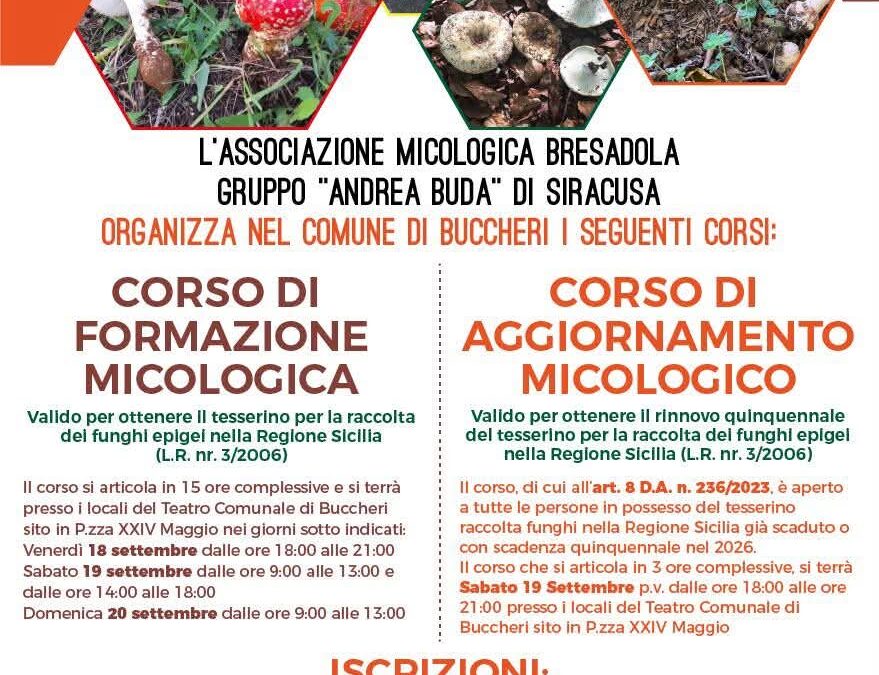 Corsi di micologia a Buccheri | Formazione e Aggiornamento per il tesserino per la raccolta dei funghi