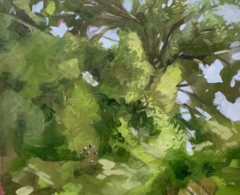 Marzamemi – “Terra” | Arte, paesaggio e solidarietà nella mostra di Fronterrè e Muscarà