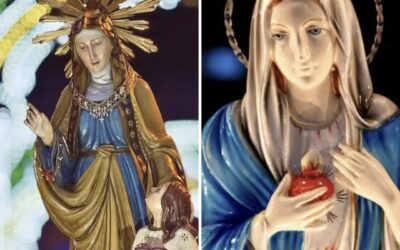 Il nostro Direttore scrive a Radio Mater: “Quale raccolto saremo capaci di consegnare alle nuove generazioni?”