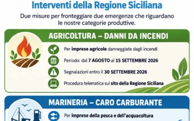 Emergenza incendi e caro carburante: dalla Regione Siciliana aiuti per agricoltura e marineria