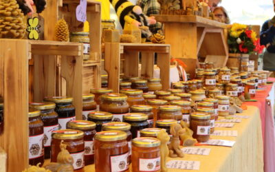 Sagra del Miele di Sortino 2026: è in corso l’ultima giornata tra degustazioni, musica e folclore