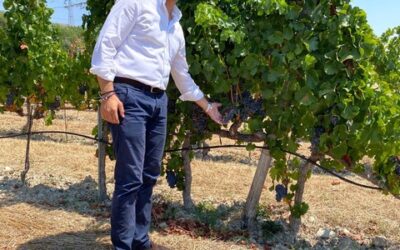 Promozione dell’enoturismo: nuova linfa per la Sicilia e la Val di Noto grazie al nuovo decreto ministeriale