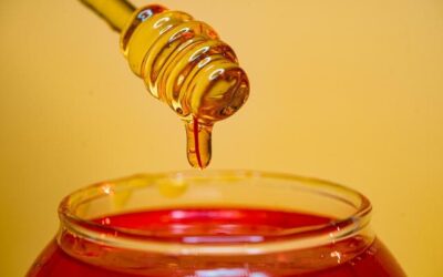 44ª Sagra del Miele a Sortino: dal 25 al 27 settembre tre giorni tra tradizioni, cultura e spettacoli