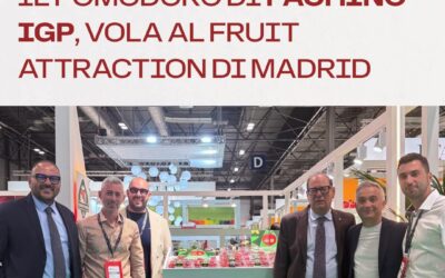 Il Pomodoro di Pachino IGP conquista Madrid: protagonista al Fruit Attraction