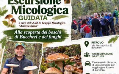 Sapori Ibleidi: domenica 25 ottobre escursione micologica gratuita nei boschi di Buccheri