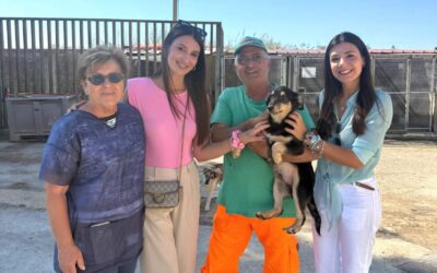 Avola, meno TARI per chi adotta un cane dal canile comunale