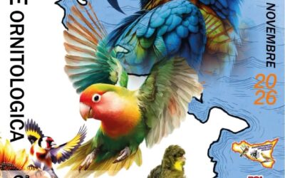 SIRACUSA – Tutto pronto per la 1ª Mostra dello Ionio – Unione Ornitologica Augusta – Siracusa – Avola, in programma dal 27 ottobre al 1 novembre 2026 a Siracusa