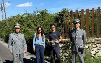 Avola, prosegue il monitoraggio della formica di fuoco: l’Amministrazione invita i cittadini alla collaborazione