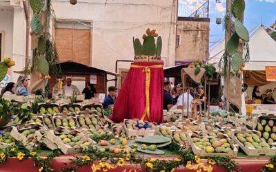 ​L’oro spinoso del Calatino: A San Cono va in scena la 40esima Sagra del Fico d’India