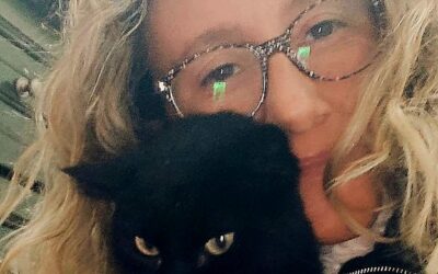 Siracusa, l’appello del vicesindaco Bandiera: i gattini di Silvia cercano casa