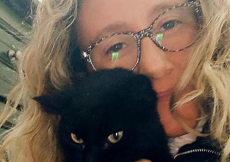 Siracusa, l’appello del vicesindaco Bandiera: i gattini di Silvia cercano casa
