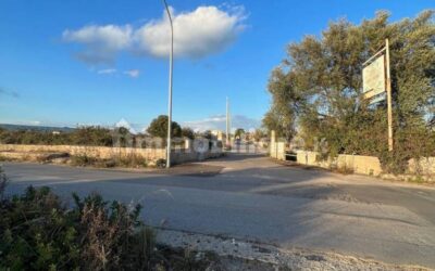 “La vegetazione invade la strada, auto a rischio”: una cittadina scrive alla redazione di Siracusa Next24